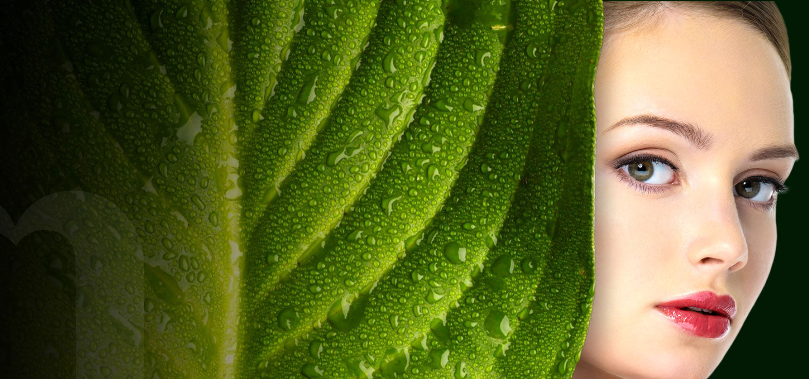 Maliao-Professional-Makeup-Your-Guide-to-Natural-Beauty Maliao Makeup